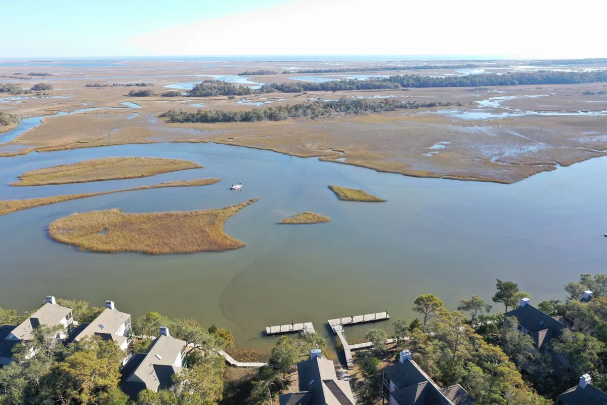A tranquil scene of marshland with meandering waterways, distant trees, and a dock extending into the water. The area is bathed in soft light, ideal for early morning birdwatching, nature photography, or launching a kayak for a closer look at the ecosystem.