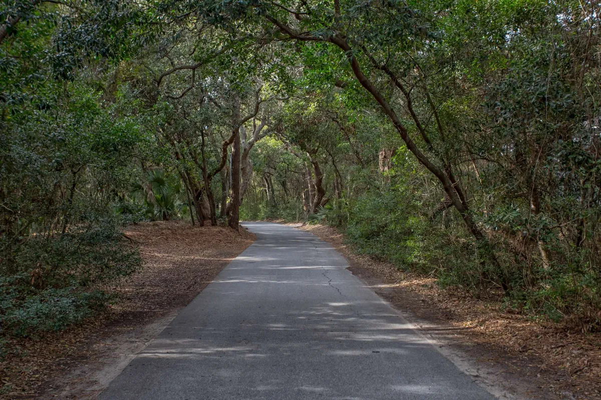 A peaceful exterior scene featuring a tree-canopied paved road winding through lush greenery. The tranquil path suggests an inviting space for leisurely walks and nature observation with a pet.