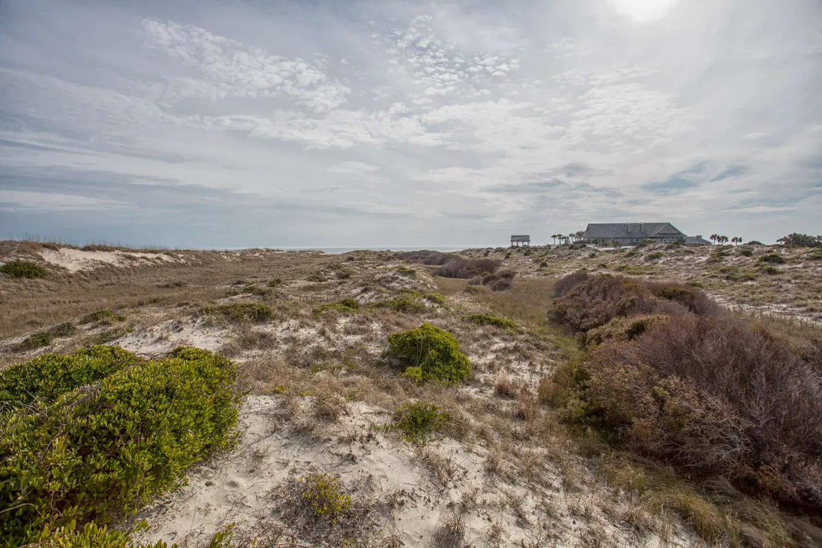 A tranquil exterior scene featuring rolling dunes, lush coastal vegetation, and a distant house nestled within the landscape. The open space and natural surroundings evoke a sense of accessible, pet-friendly outdoor exploration.